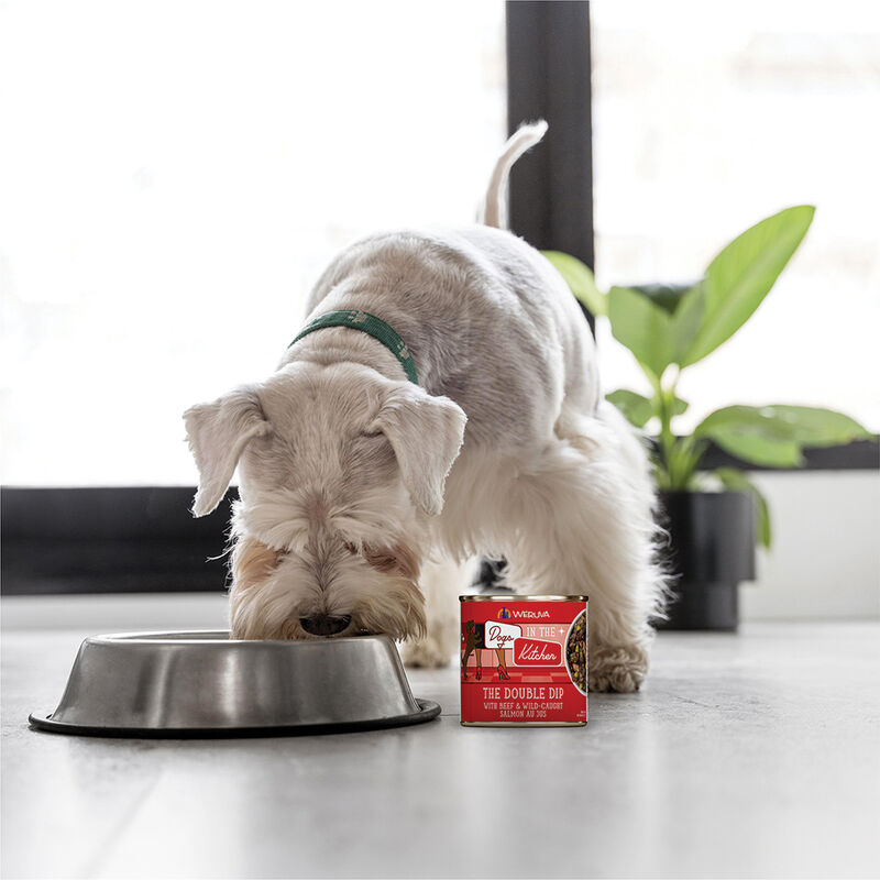 Weruva, Can, Adult - Double Dip - 285 g - Minced - Wet Dog Food image number null