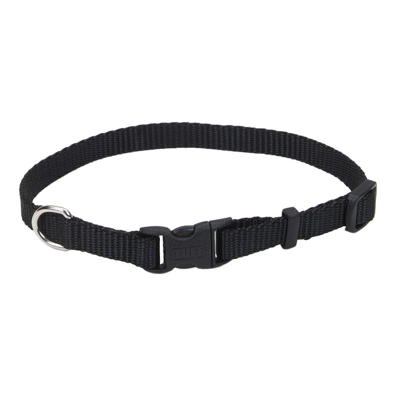 Adjustable Dog Collar with Plastic Buckle, Black, Extra Small - 3/8" x 8"-12" image number null