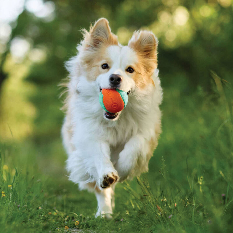 Bionic Super Squeak Ball Dog Toy  image number null