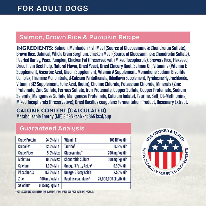 Natural Balance, Health Protection - Real Salmon, Brown Rice & Pumpkin Recipe - Dry Dog Food image number null