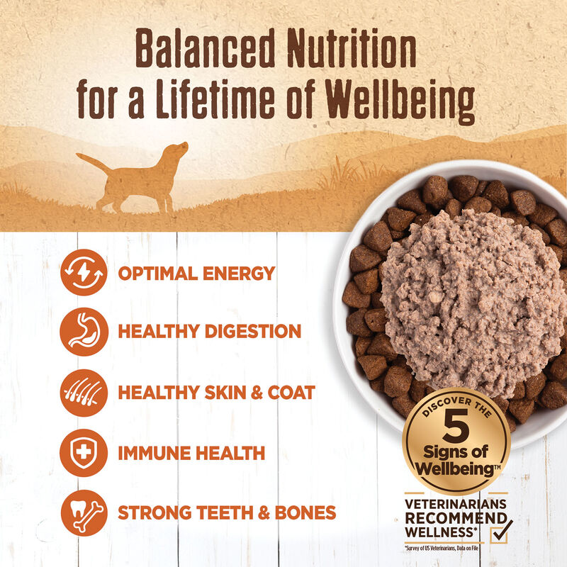 Wellness, Canned Dog Food, Mixers & Toppers, 95% Turkey - 13 oz - Wet Dog Food image number null