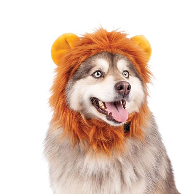 Silver Paw Lion Mane Dog Costume