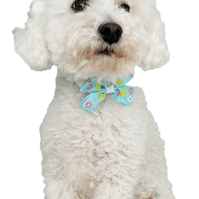 Cozymo Daily Bowties - Assorted 50 pcs image number null