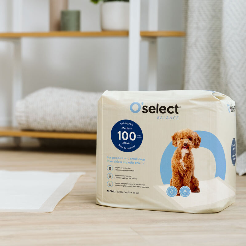 O'select, Training Pads Small Dogs and Puppies image number null
