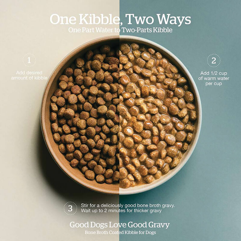 Good Gravy - Salmon Recipe with Ancient Grains - Adult - Dry Dog Food image number null