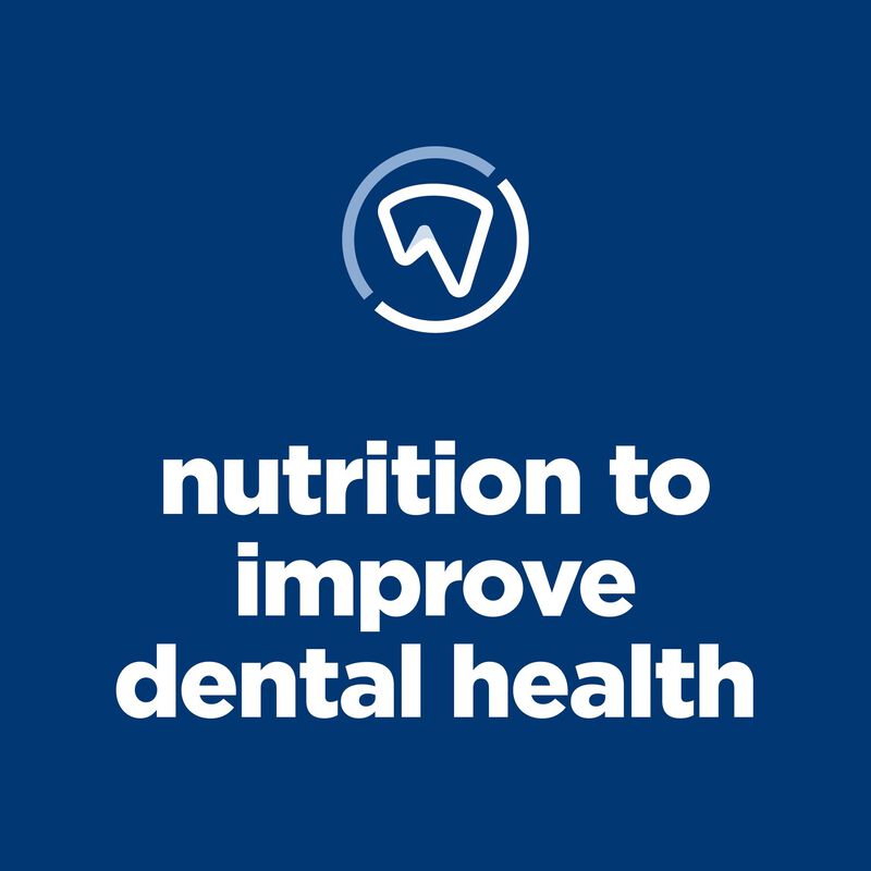Science Diet, Adult Oral Care Chicken Recipe - Dry Cat Food image number null