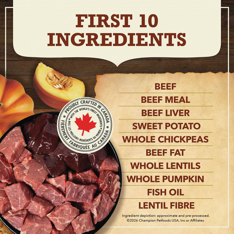 Acana, Limited Ingredient Diet, Beef with Pumpkin Recipe - Dry Dog Food image number null