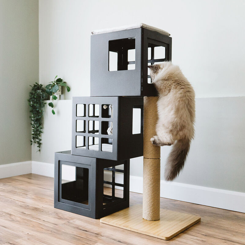BeOneBreed, Modular Paper Rope Scratcher image number null