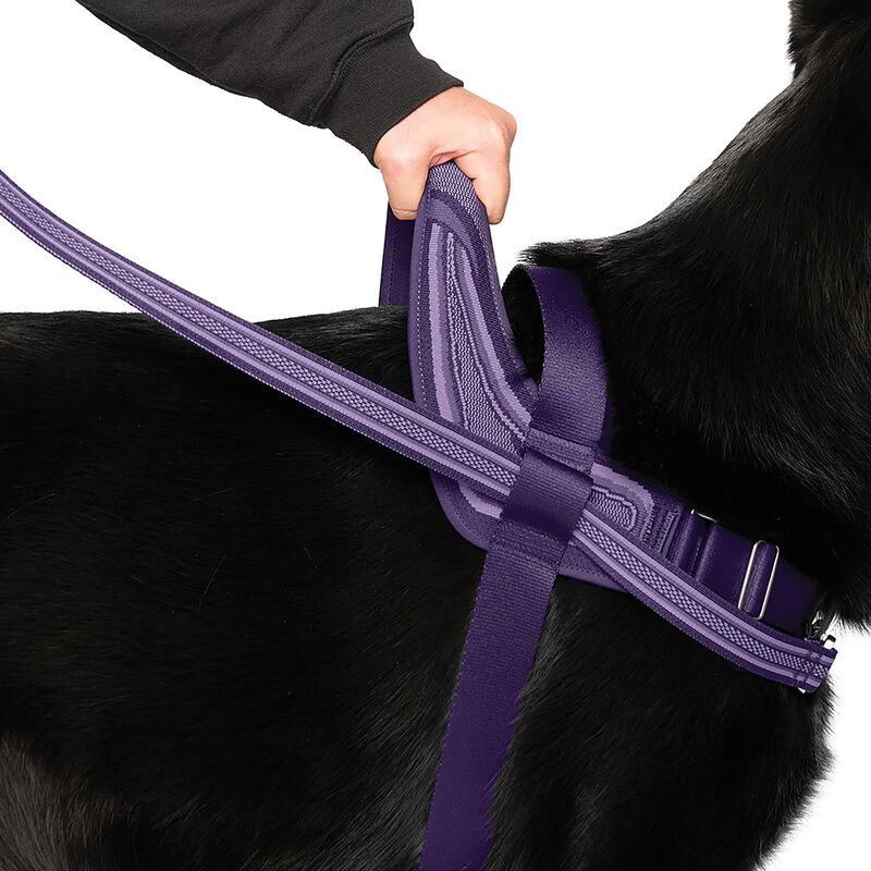 Canada Pooch, Re-Direct Harness - Purple/Lavender image number null