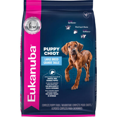 Eukanuba, Puppy Large Breed - Dog Dry Food