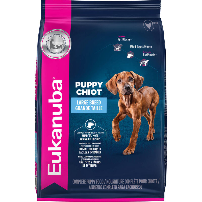 Eukanuba, Puppy Large Breed - Dog Dry Food image number null
