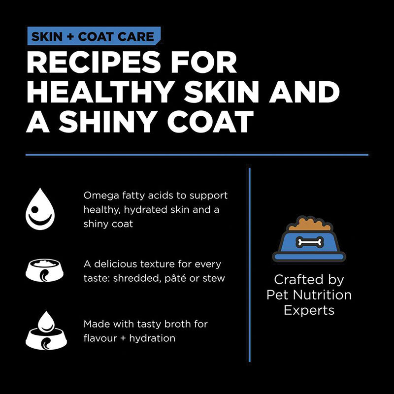 GO! SOLUTIONS, SKIN + COAT CARE Shredded Chicken Recipe for dogs - Wet Dog Food image number null