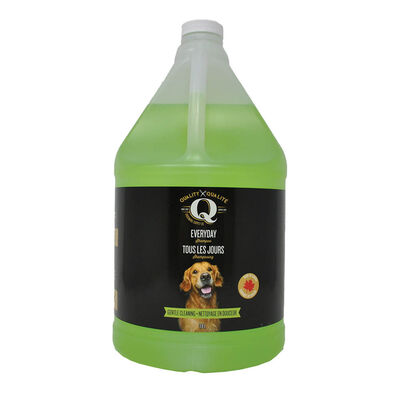 Q, Everyday Shampoo