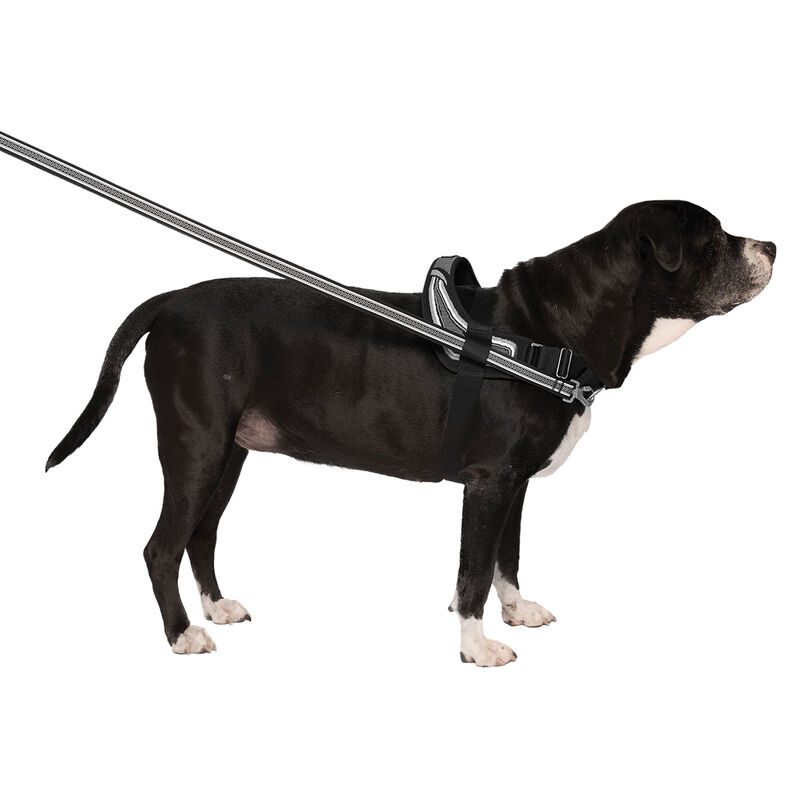 Canada Pooch, Re-Direct Harness - Black/Grey image number null
