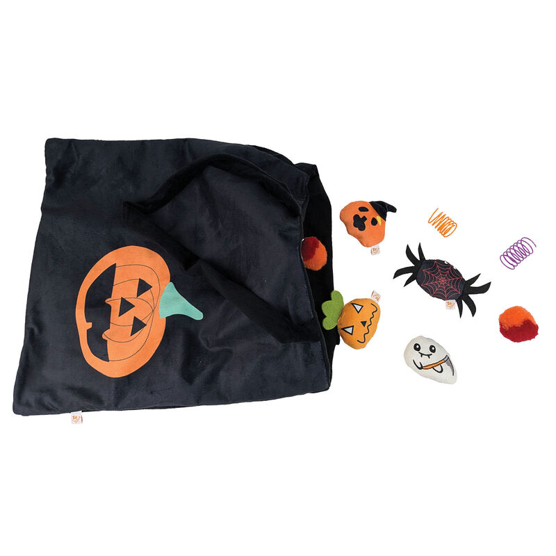 Zoom Pets Trick-or-Treat 9pc Cat Toy Set image number null