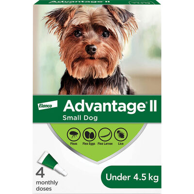 Advantage II, Small Dog Flea Treatment & Protection, <4.5kg