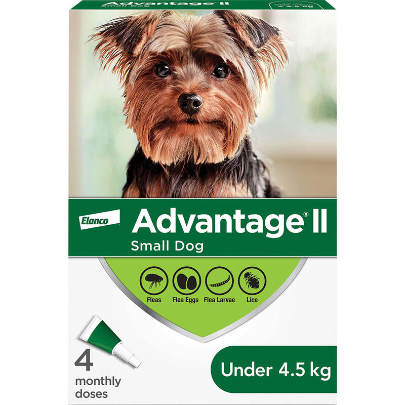 Advantage II, Small Dog Flea Treatment & Protection, <4.5kg image number null