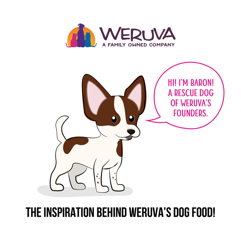 Weruva, Can, Adult - Fowl Ball - 285 g - Minced - Wet Dog Food image number null
