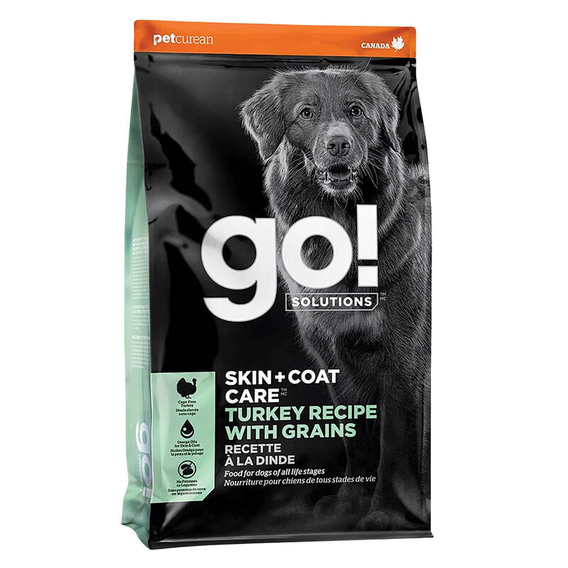 GO! SOLUTIONS, SKIN + COAT CARE Turkey Recipe With Grains for dogs - Dry Dog Food image number null