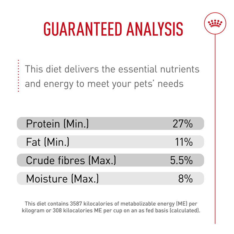Royal Canin, Feline Health Nutrition Indoor 7+ Dry Adult - Dry Cat Food image number null