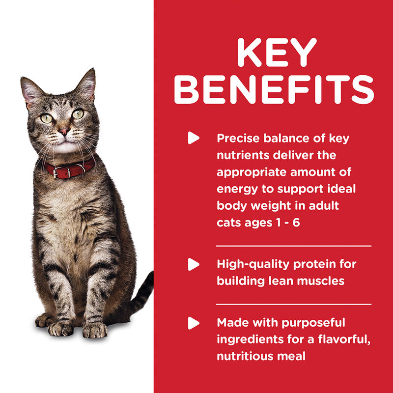 Science Diet, Adult Tender Chicken Dinner Canned Cat Food, 5.5 oz - Wet Cat Food image number null