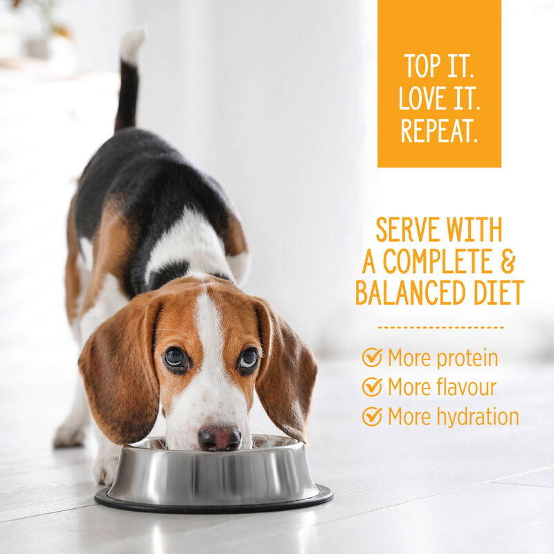 Nutrience, Homestyle Topper Chicken Buddha Bowl &ndash; Dog Wet Food image number null