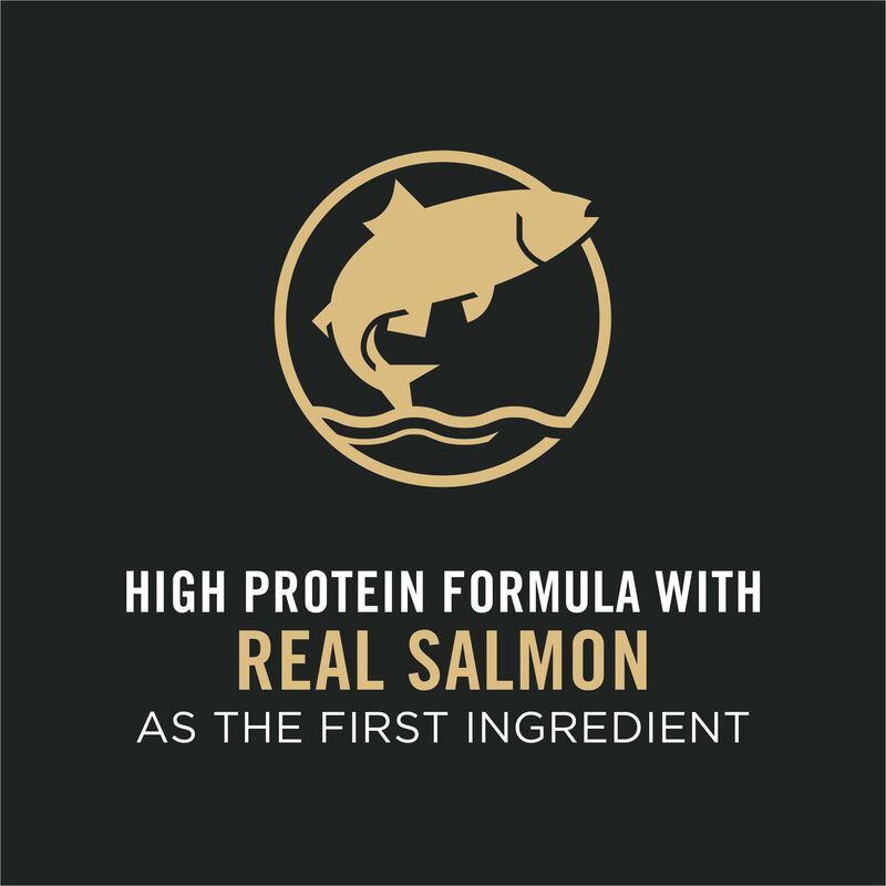 Purina Pro Plan Specialized Sensitive Skin & Stomach Adult, Salmon & Rice image number null