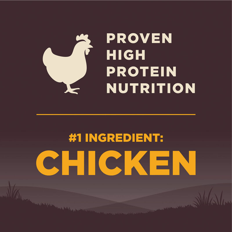 Wellness, Core, Grain Free Puppy - Dry Dog Food image number null