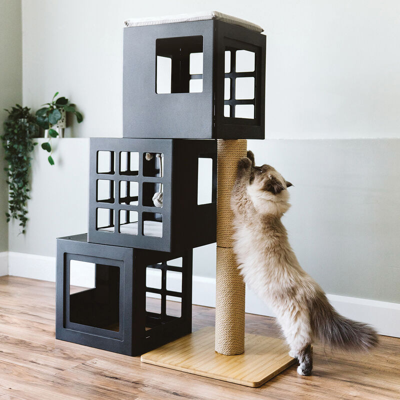 BeOneBreed, KATT KUBE Multi image number null