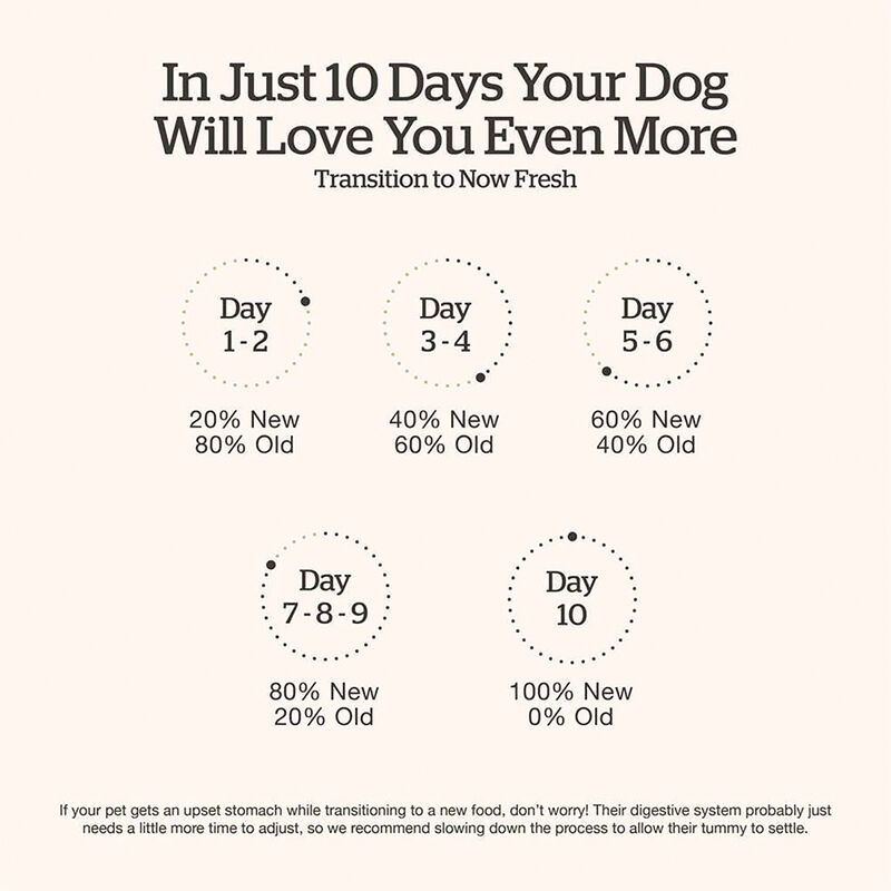 NOW FRESH, Senior GF - Dry Dog Food image number null
