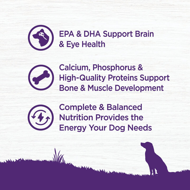 Wellness, Complete Health, Puppy Deboned Chicken, Oatmeal & Salmon - Dry Dog Food image number null