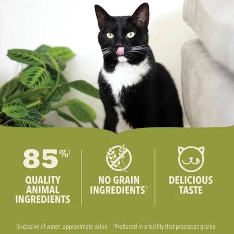 Acana, Can, Kitten, Chicken & Tuna Recipe in Bone Broth, 155g image number null