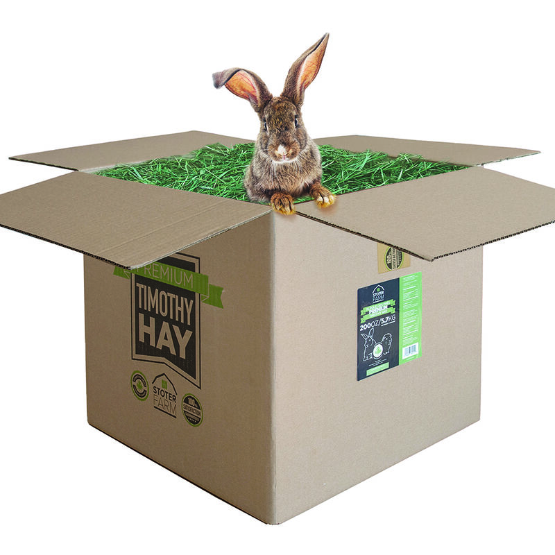 Stoter Farm, Premium Timothy Hay image number null