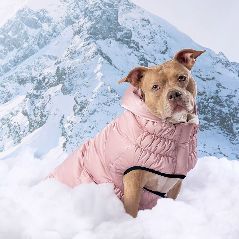 GF Pet, Lunar Glow Parka - Pink image number null