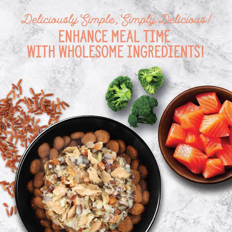 Nutrience, Homestyle Topper Salmon Red Rice Bowl &ndash; Dog Wet Food image number null