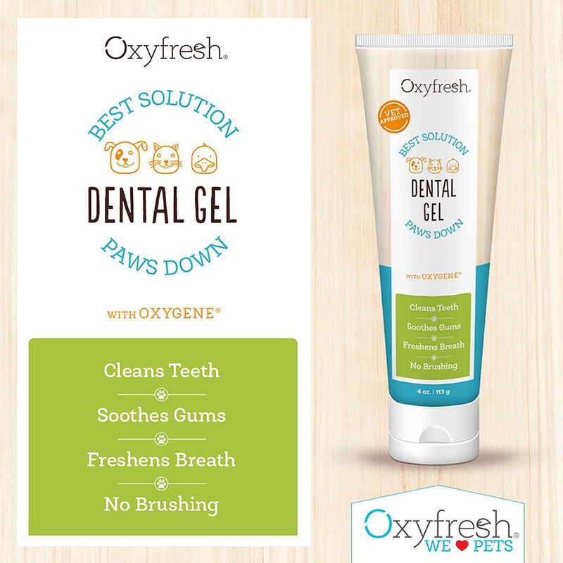 Oxyfresh, Pet Dental Gel - 4 oz image number null