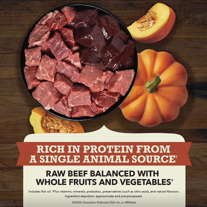 Acana, Limited Ingredient Diet, Beef with Pumpkin Recipe - Dry Dog Food image number null