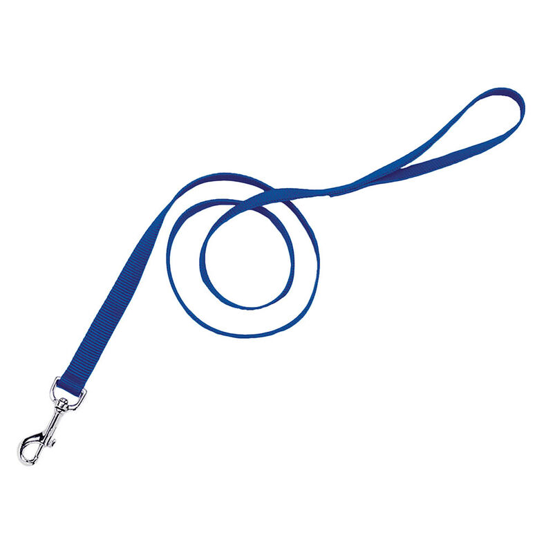 Single-Ply Dog Leash, Blue, X-Small - 3/8" x 6' image number null