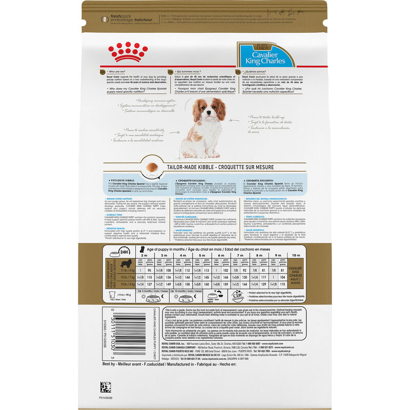 Royal Canin, Puppy, Breed Health -Cavalier King Charles - Dry Dog Food image number null