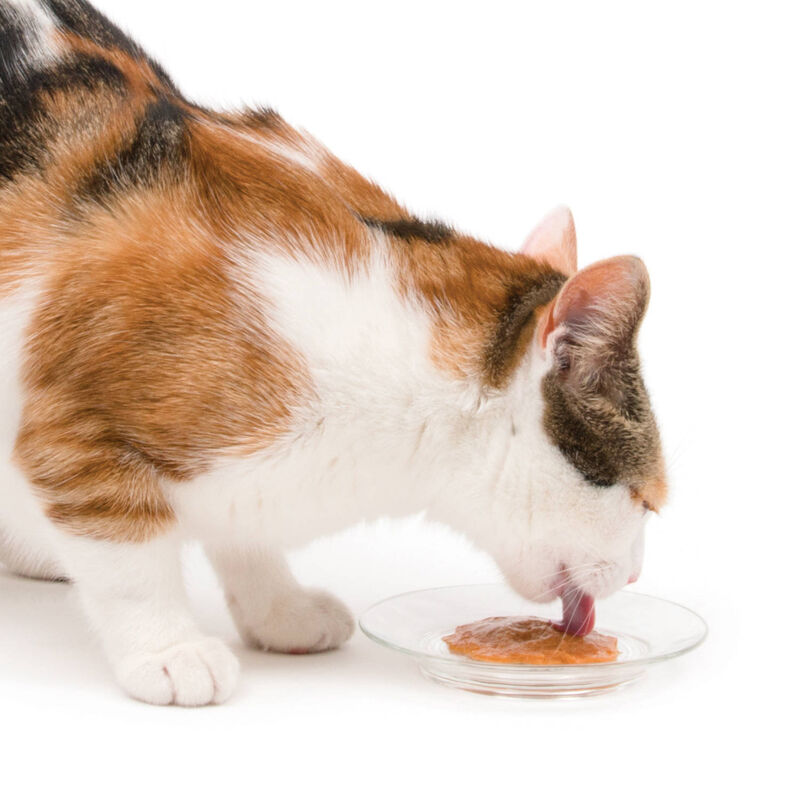 Catit, Creamy Treats  - Chicken & Liver Flavour - 50 pk - Cat Treat image number null