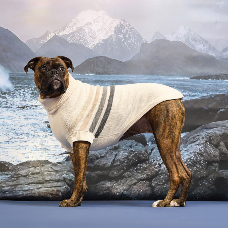 GF PET Sculpted Coastline Turtleneck - Beachwood image number null