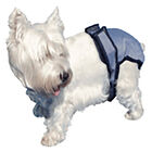 Pooch Pad, PoochPants - Diaper - X-Small - 4 - 8 lbs image number null