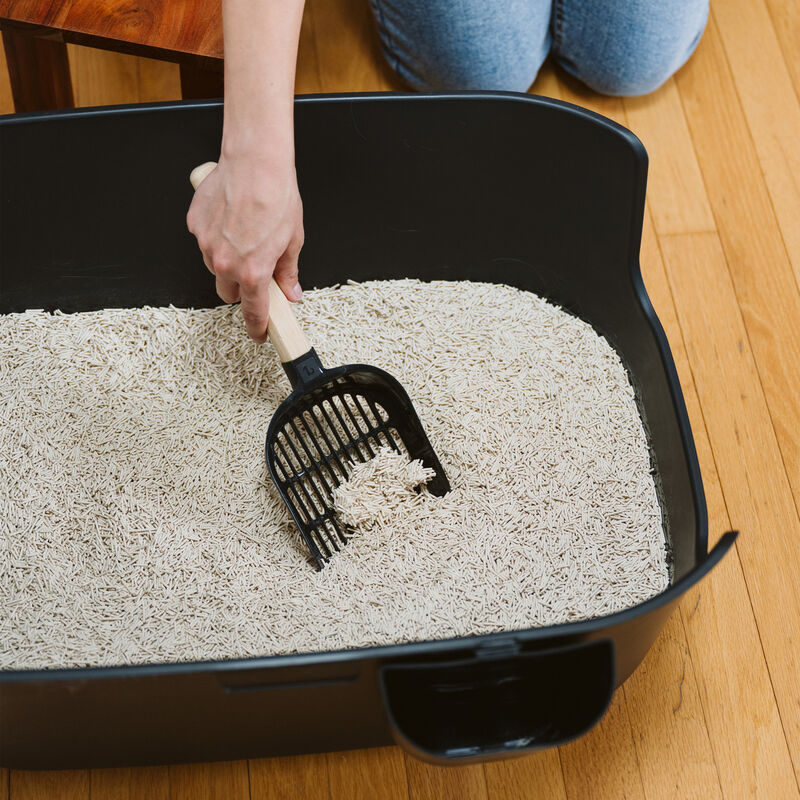 O'select, Pea Fiber Clumping Litter - Unscented - 4.5 kg image number null