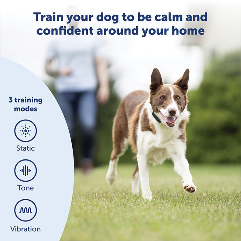 PetSafe, 600 m Remote Trainer - 2 dogs image number null