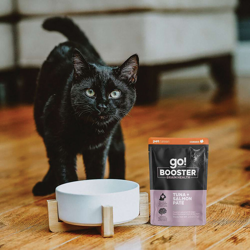 GO! SOLUTIONS,  BOOSTER Brain Health Tuna + Salmon Pate - 71 g - Wet Cat Food image number null