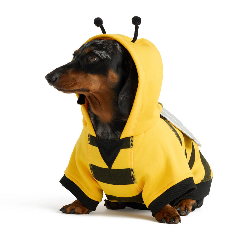 Bee Fleece Hoodie for Dogs image number null