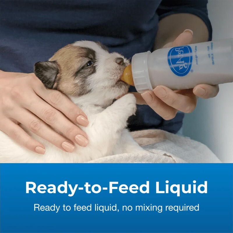 PetAg, Goat's Milk Esbilac Milk Replacer Liquid - 16oz image number null
