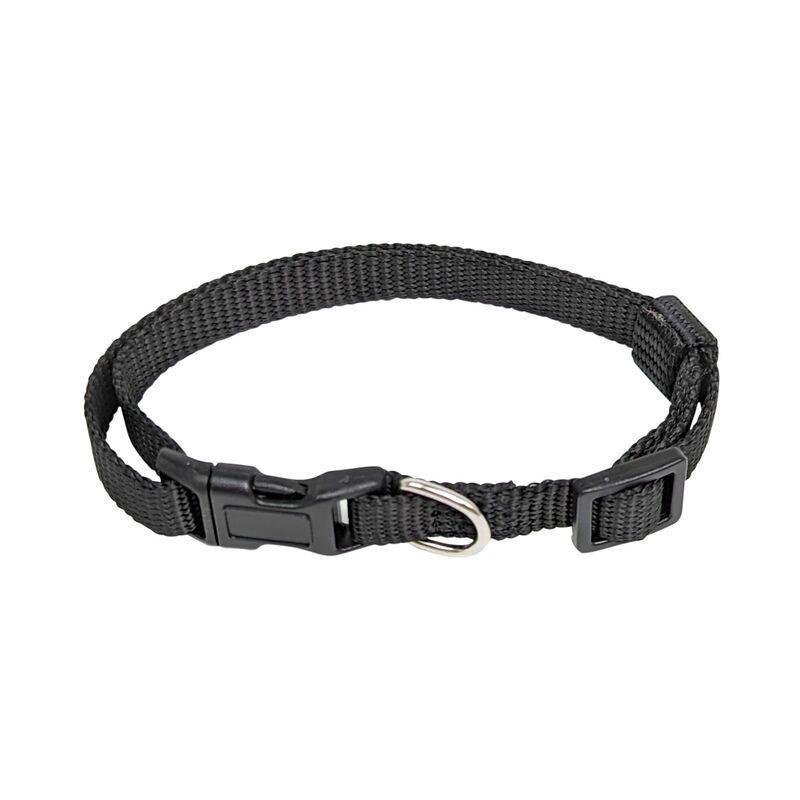 Brigade, Nylon Dog Collar - Black image number null