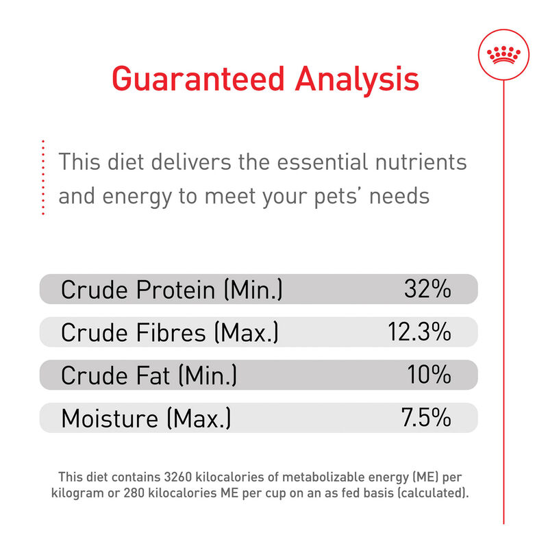 Royal Canin, Feline Health Nutrition Kitten Spayed / Neutered - Dry Cat Food image number null