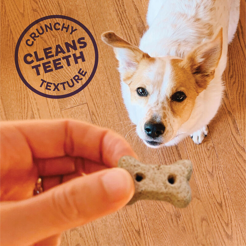 Old Mother Hubbard, Liv'R'Crunch - Mini image number null